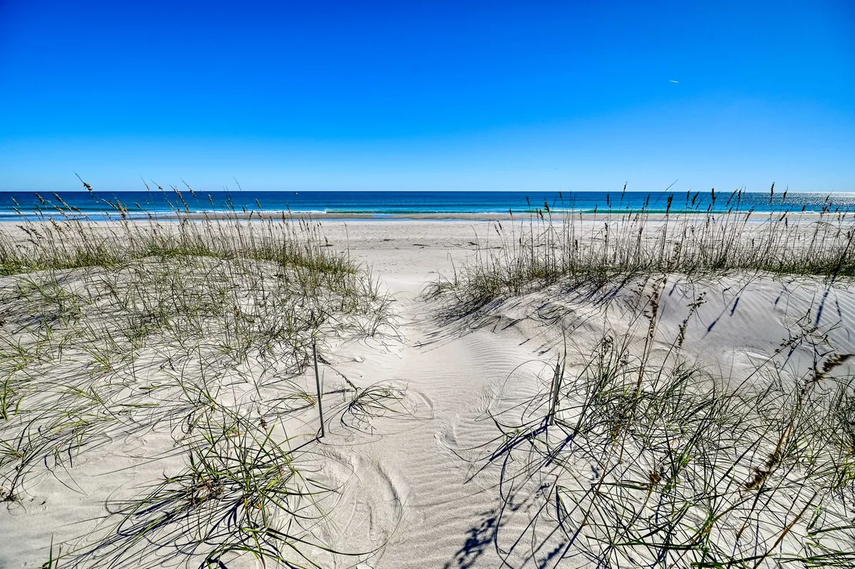 A tranquil exterior scene showing a sandy path bordered by beach grass, leading directly towards the ocean under a clear blue sky. The beach appears easily accessible and inviting, perfect for leisurely walks or playtime with a dog.